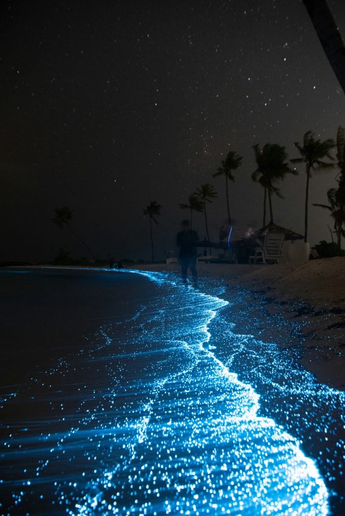 Bioluminescent plankton in the Maldives