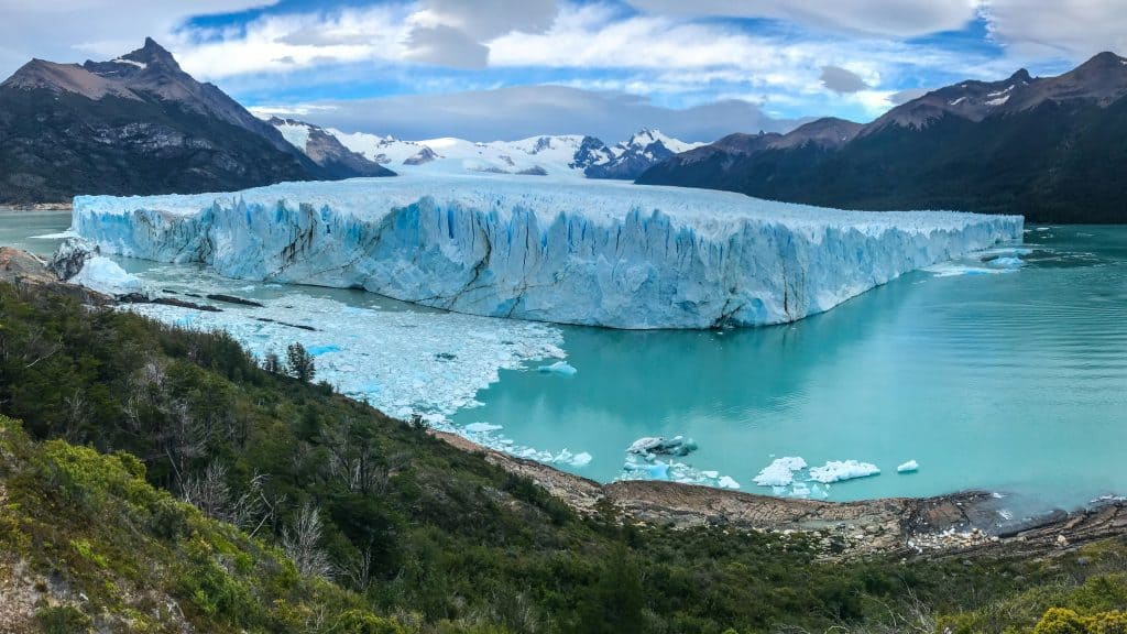 The jagged slab of Perito Moreno Glacier glows powder blue in an electric turquoise lake surrounded by snow-capped mountains in Argentinian Patagonia. A slope of dark green scrub curves across the foreground. 
