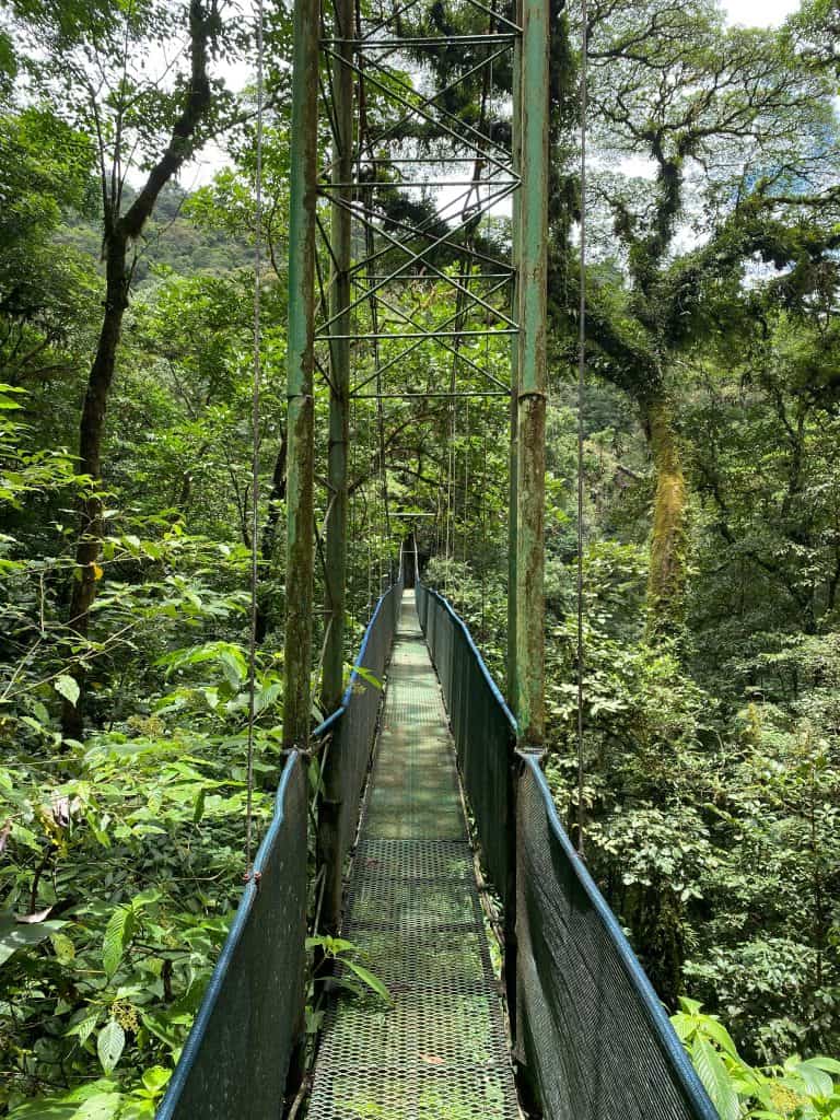 A green suspension bridge leads away into the canopy of a lush Costa Rican jungle