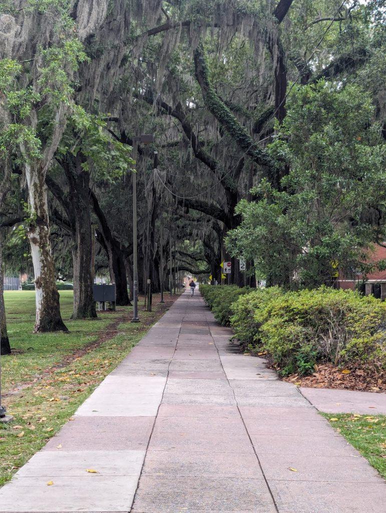 Forsyth Park is a must-do for any luxury Savannah itinerary