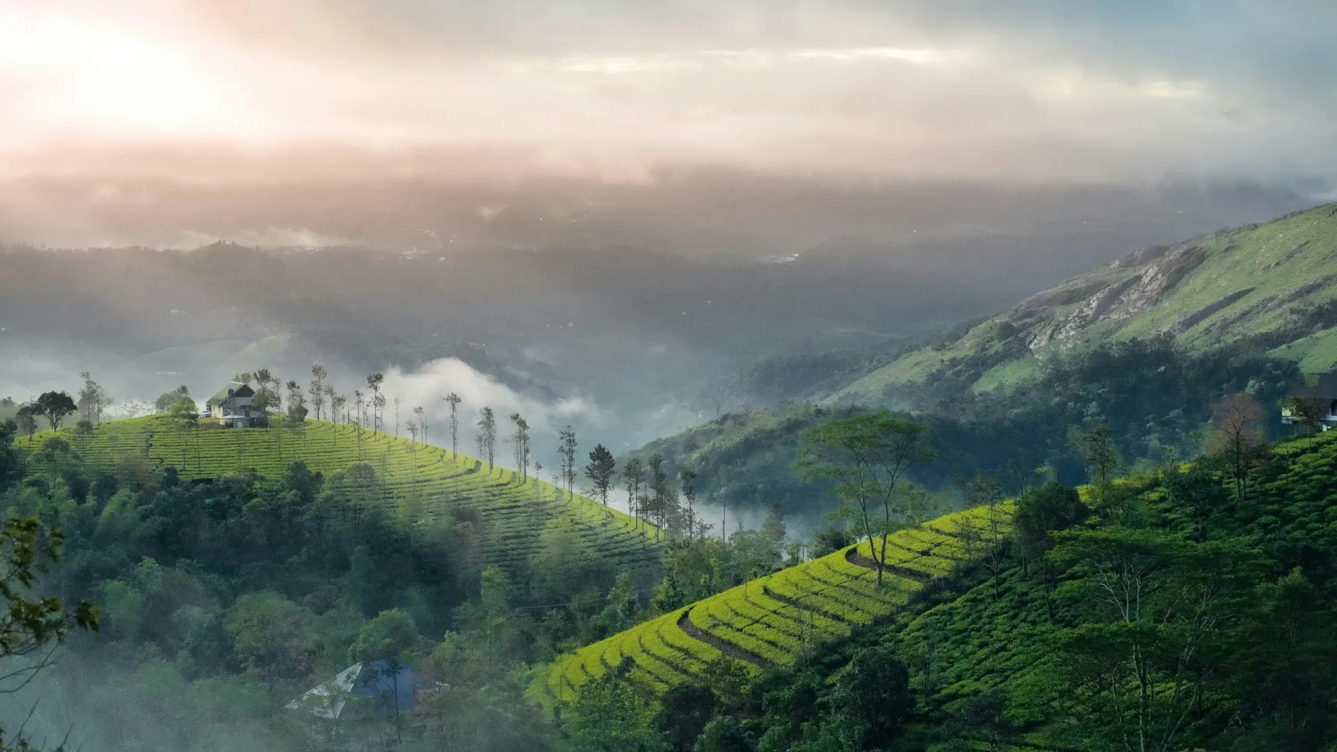 munnar